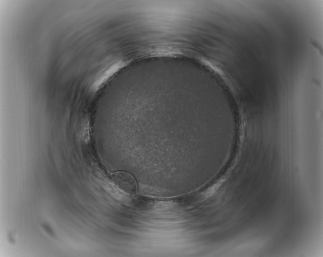 X0000099401306200805151656