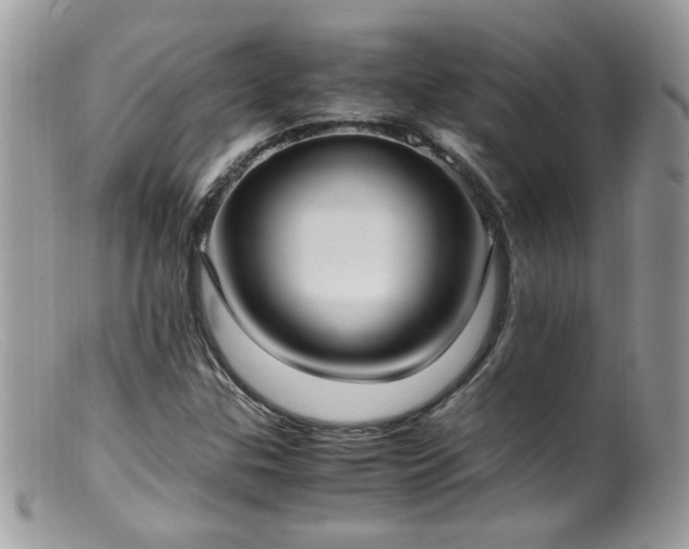 X0000099401307200805151656