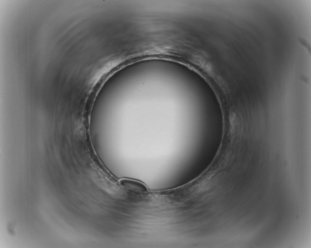 X0000099401308200805151656