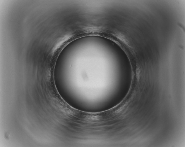 X0000099401309200805151656