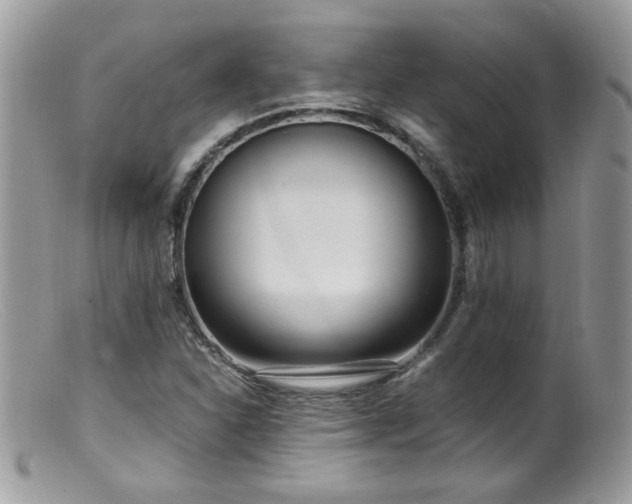 X0000099401310200805151656