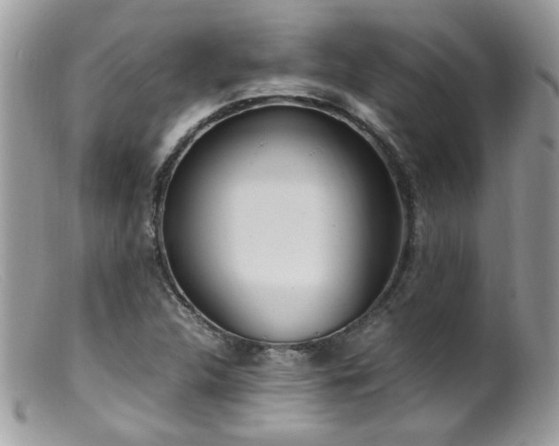 X0000099401312200805151656