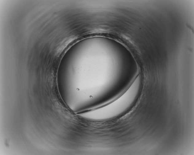 X0000099401313200805151656