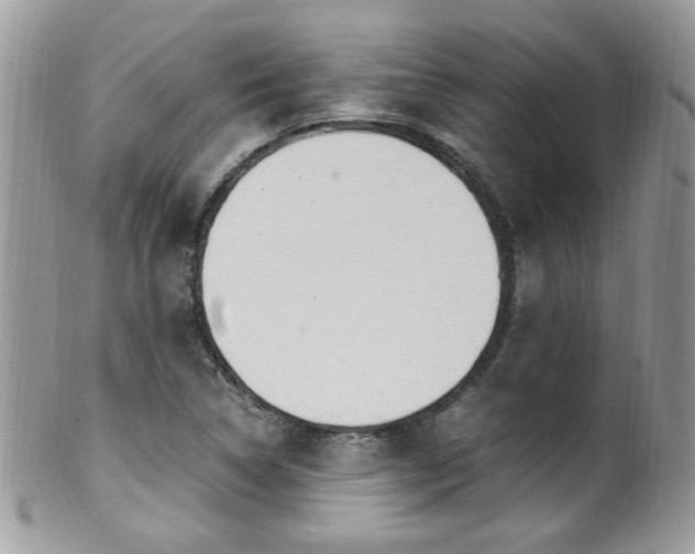 X0000099401314200805151656