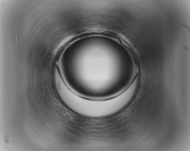 X0000099401315200805151656