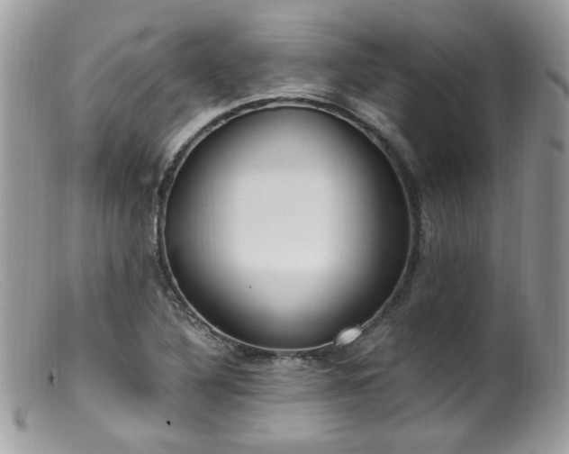 X0000099401316200805151656