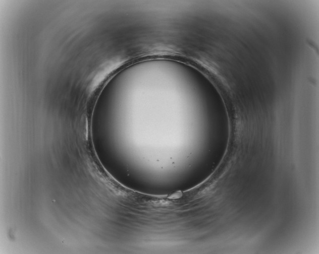 X0000099401317200805151656