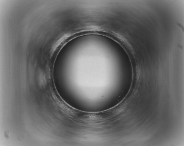 X0000099401318200805151656