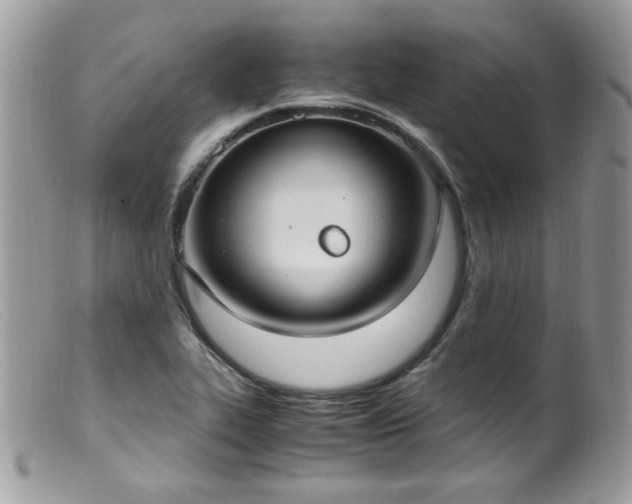 X0000099401319200805151656