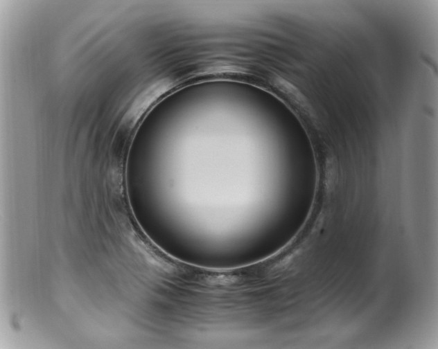 X0000099401321200805151656