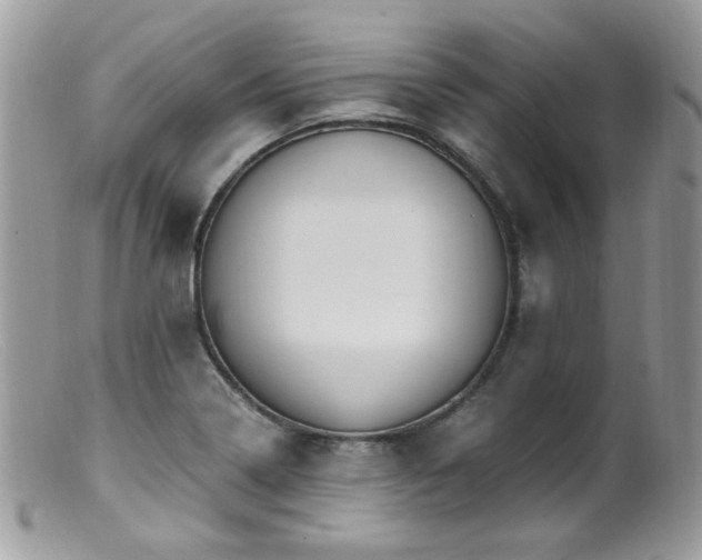 X0000099401322200805151656