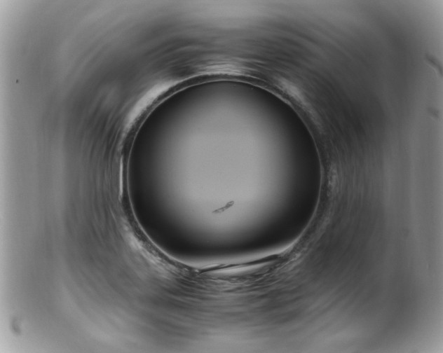 X0000099401323200805151656