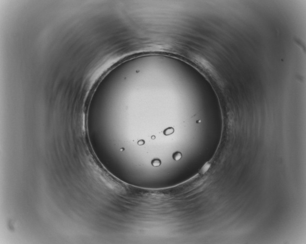 X0000099401324200805151656