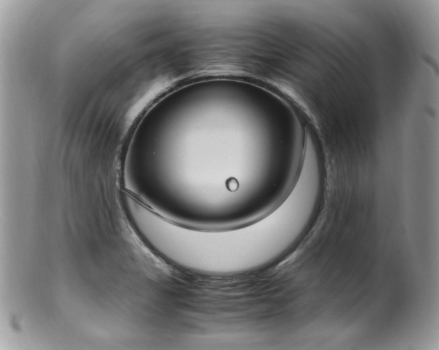 X0000099401325200805151656