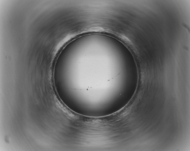 X0000099401326200805151656