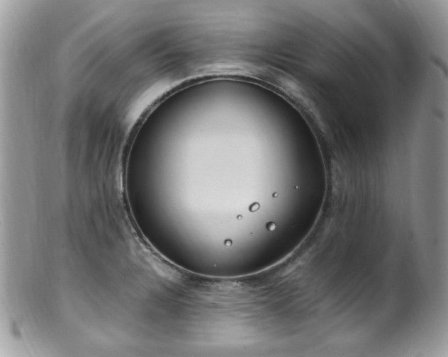 X0000099401328200805151656