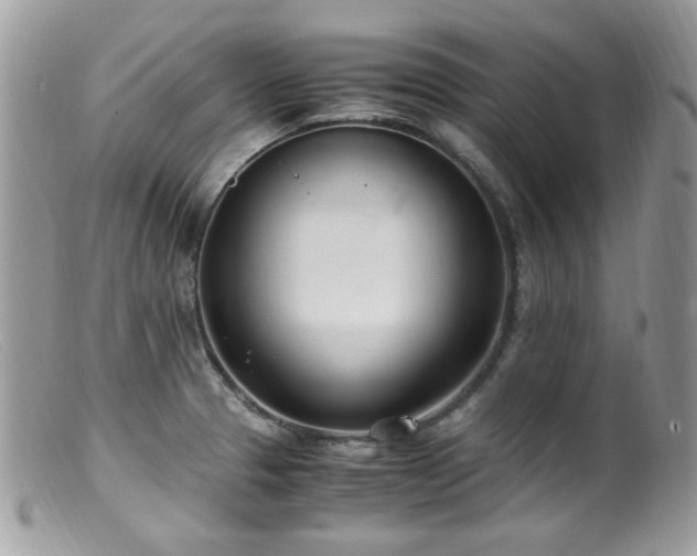 X0000099401329200805151656