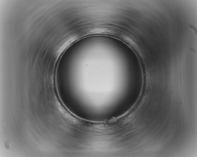 X0000099401330200805151656