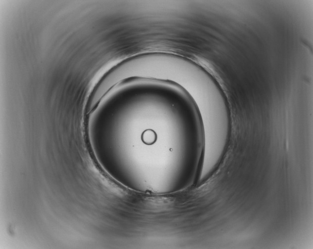 X0000099401331200805151656