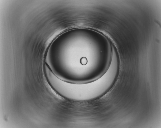 X0000099401333200805151656