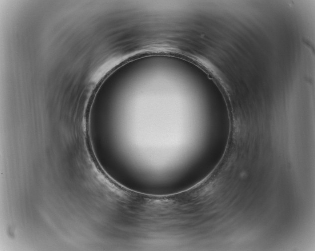 X0000099401335200805151656