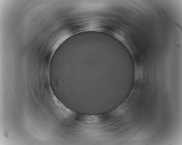 X0000099401338200805151657