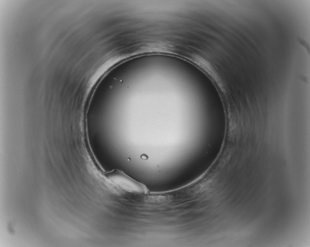 X0000099401339200805151657