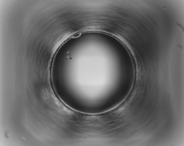 X0000099401341200805151657