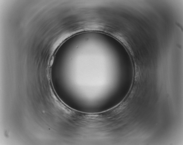 X0000099401342200805151657