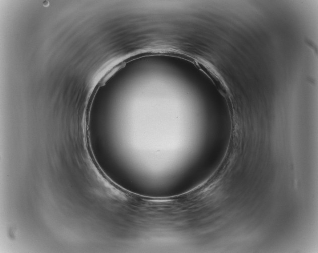 X0000099401343200805151657