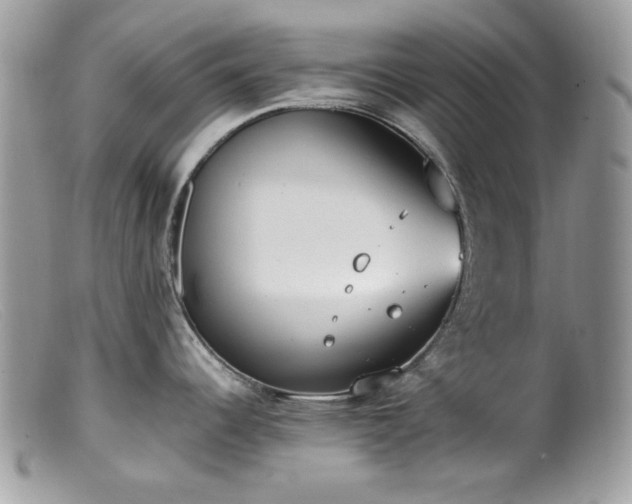 X0000099401344200805151657