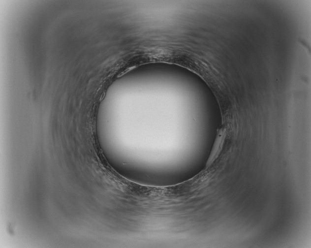 X0000099401345200805151656