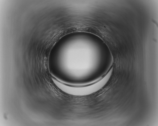 X0000099401346200805151656