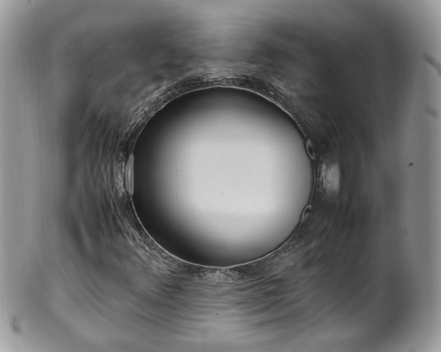 X0000099401348200805151656