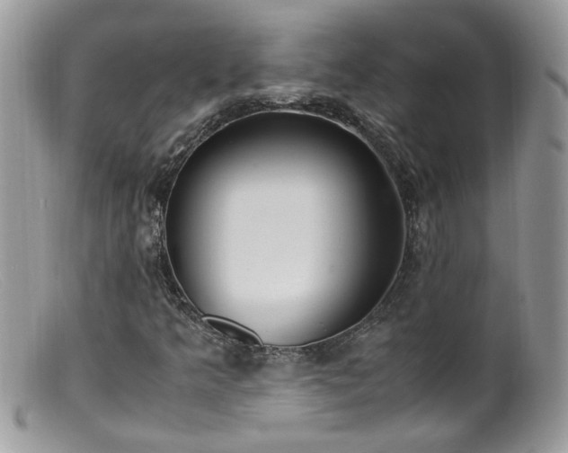 X0000099401349200805151656