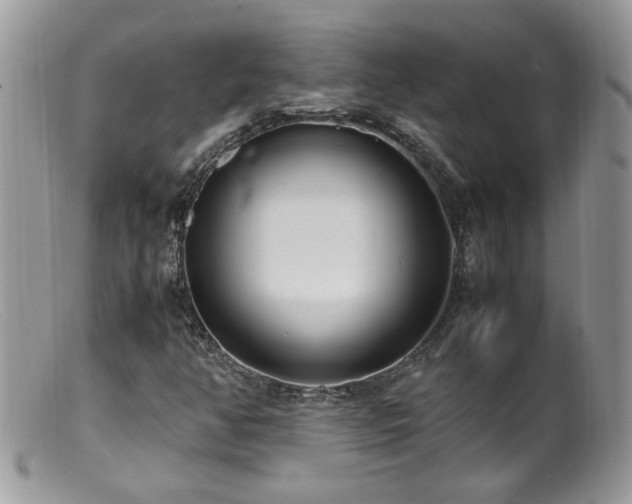 X0000099401350200805151656