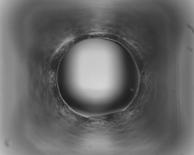 X0000099401351200805151656