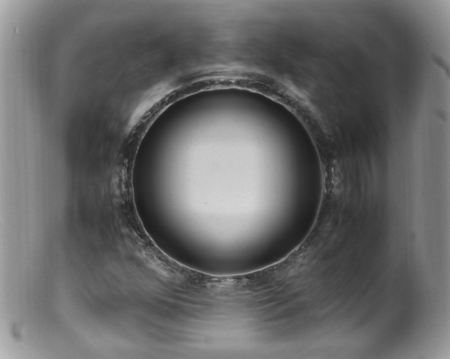 X0000099401352200805151656