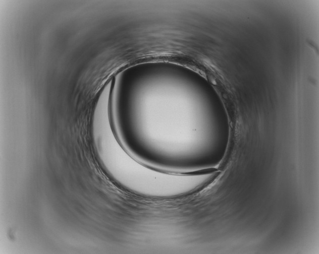 X0000099401353200805151656