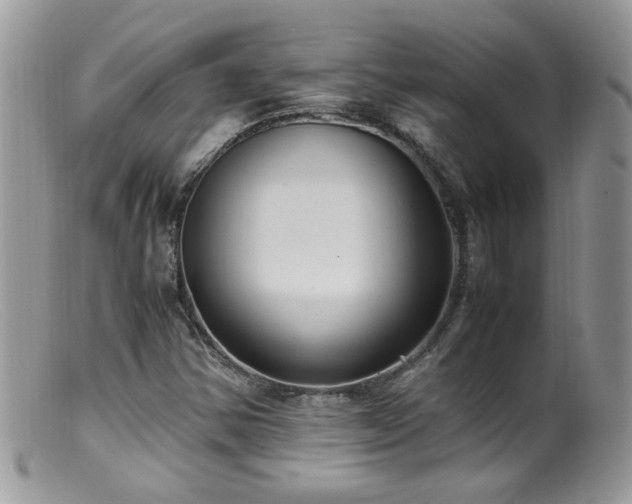 X0000099401354200805151656