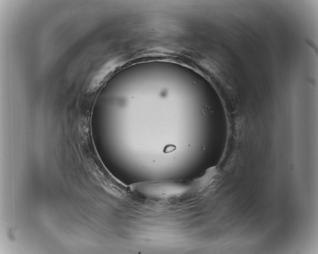 X0000099401355200805151656