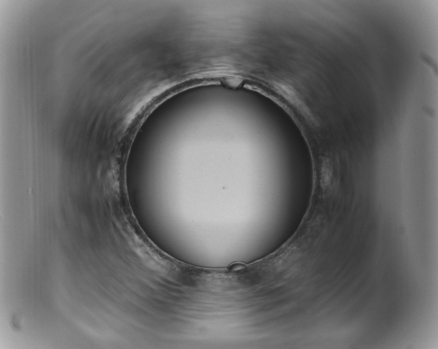 X0000099401356200805151656