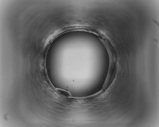 X0000099401357200805151656