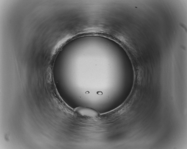 X0000099401358200805151656