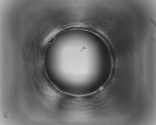 X0000099401359200805151656