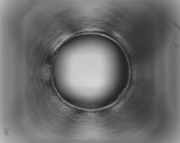 X0000099401361200805151656