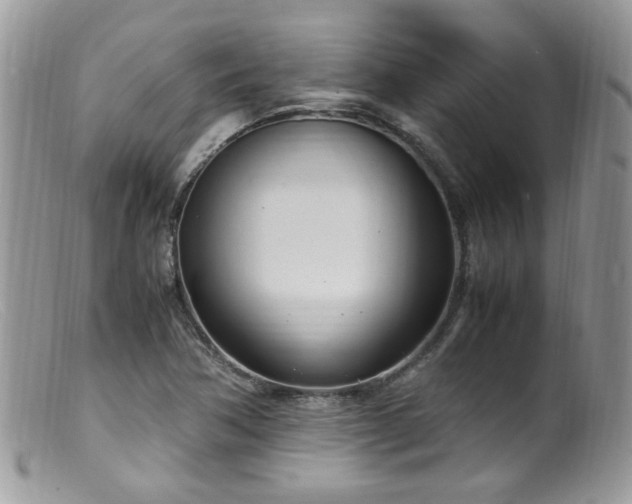 X0000099401362200805151656