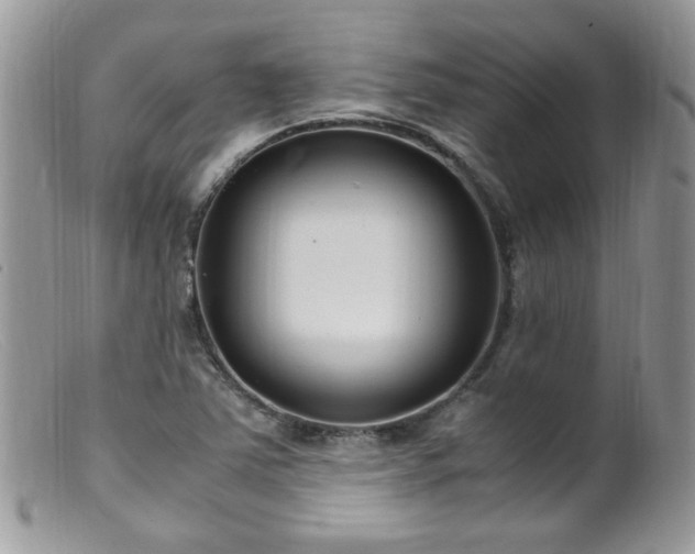 X0000099401363200805151656