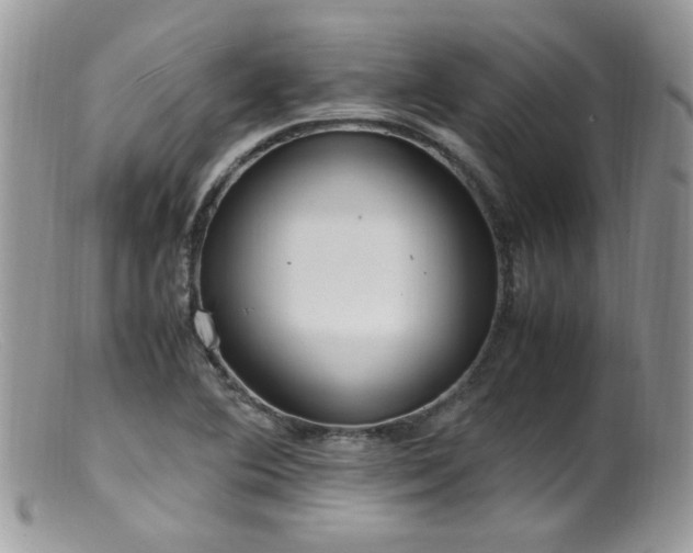 X0000099401364200805151656