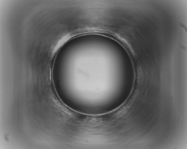 X0000099401365200805151655